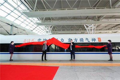 茶活力 健康饮品新风尚,开启活力新征程——启黄中学的探索与实践