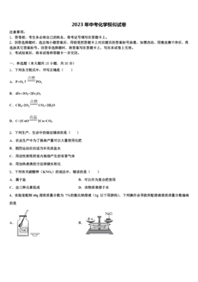 2022-2023学年黄冈市启黄中学中考化学模试卷解析